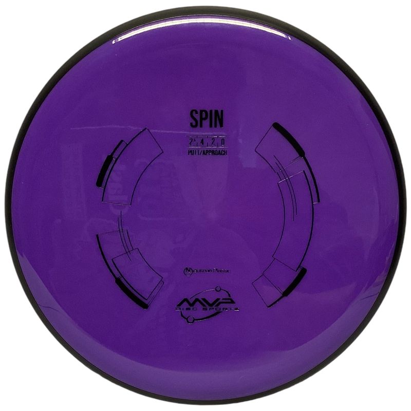 Neutron Spin