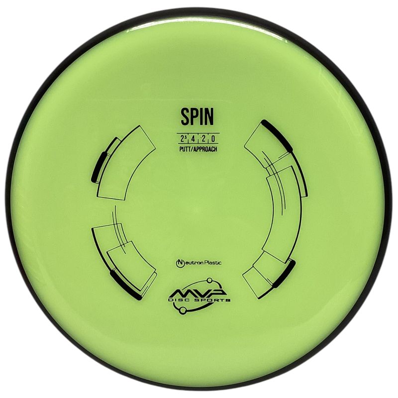 Neutron Spin