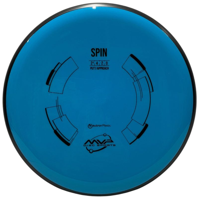 Neutron Spin