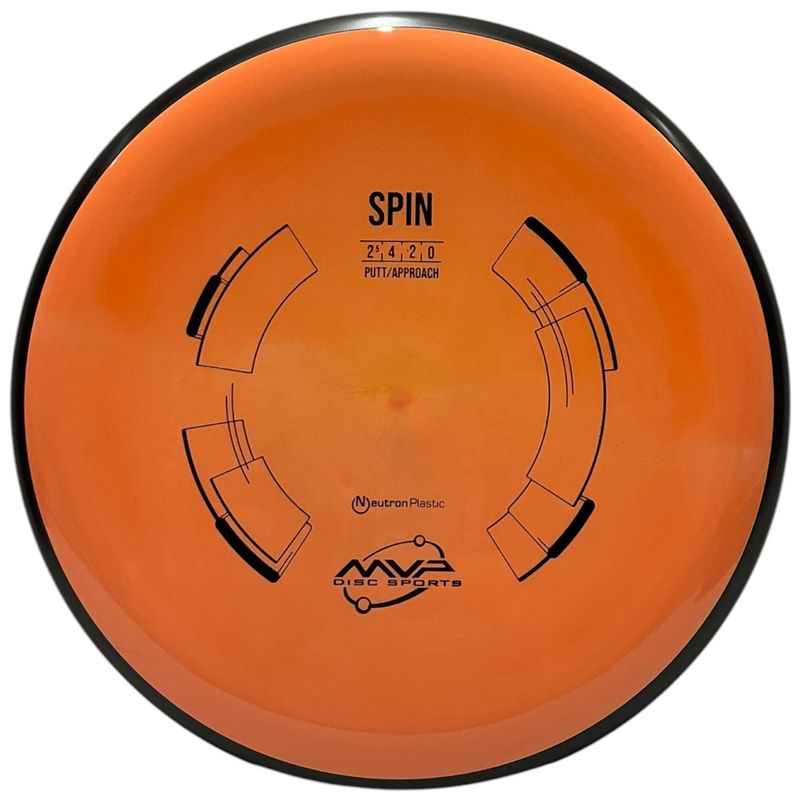 Neutron Spin