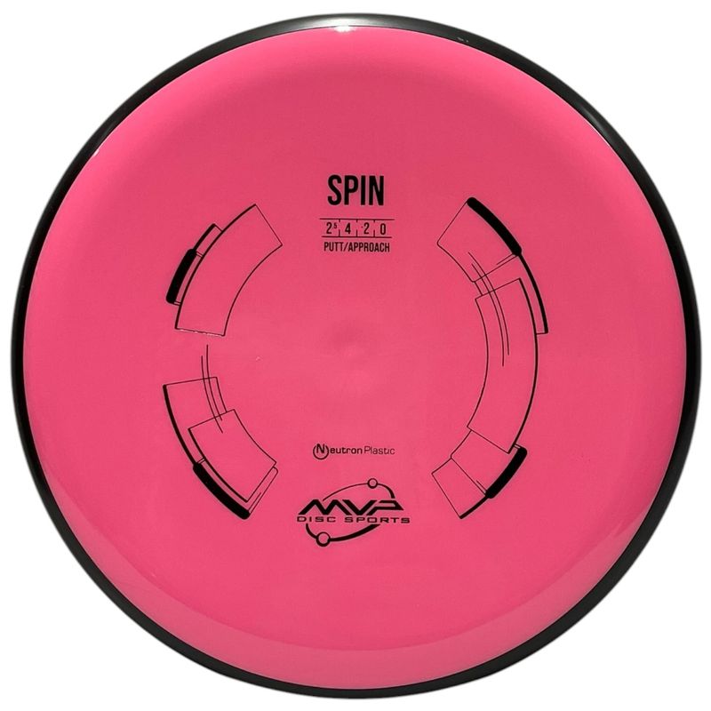 Neutron Spin