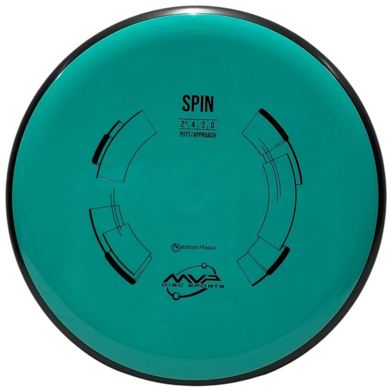 Neutron Spin