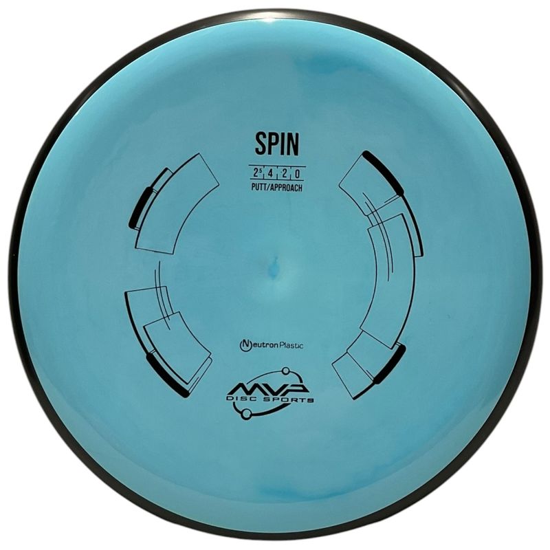 Neutron Spin