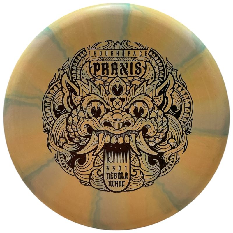 Nebula Nerve Firm Praxis